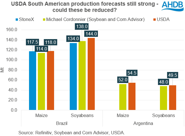 Figure showing forecasts for South American maize and soyabean crops
